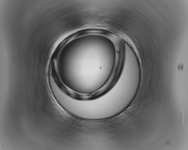 X0000097871344200803141250
