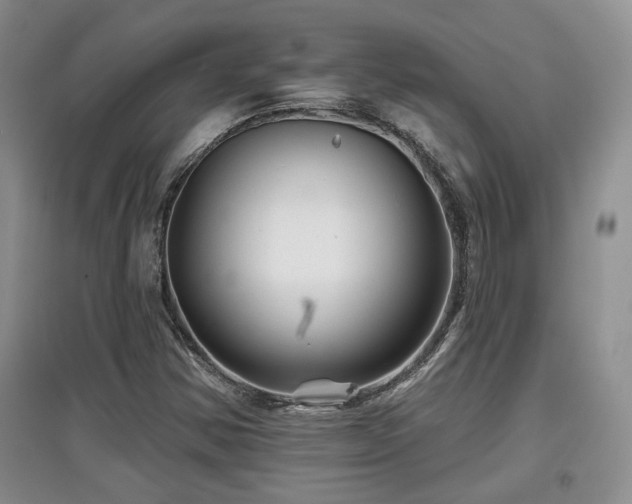 X0000097871354200803141249