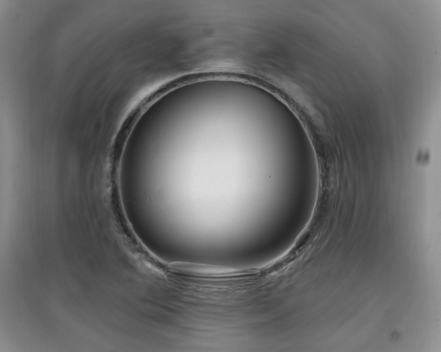 X0000097871364200803141249