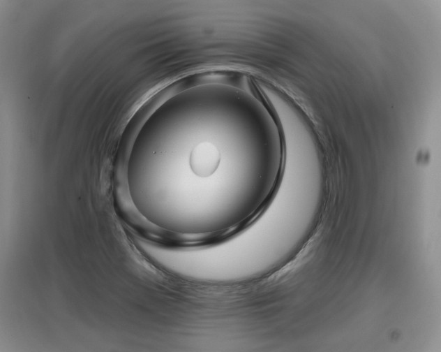 X0000097871369200803141249