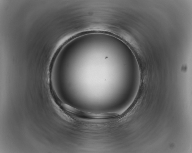 X0000097871372200803141249