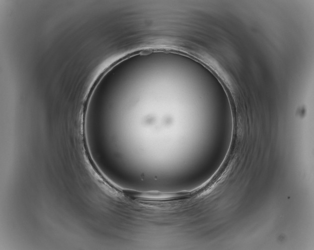 X0000097871388200803141248