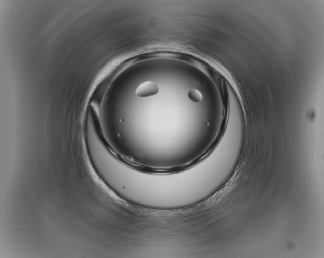 X0000097871389200803141248