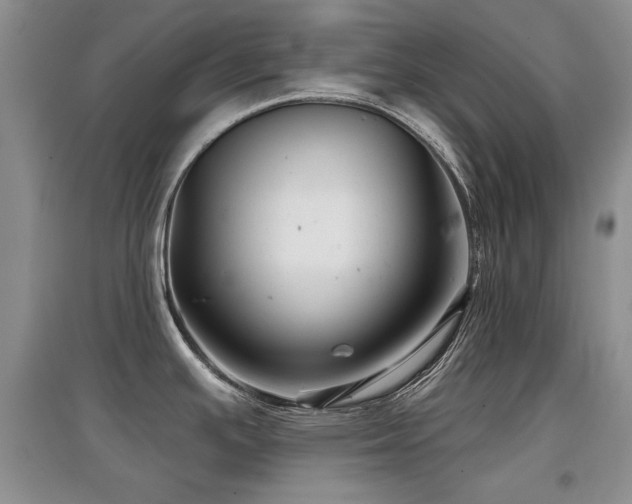 X0000097871391200803141248