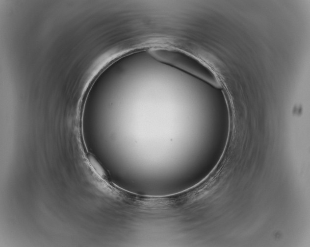 X0000097871392200803141248