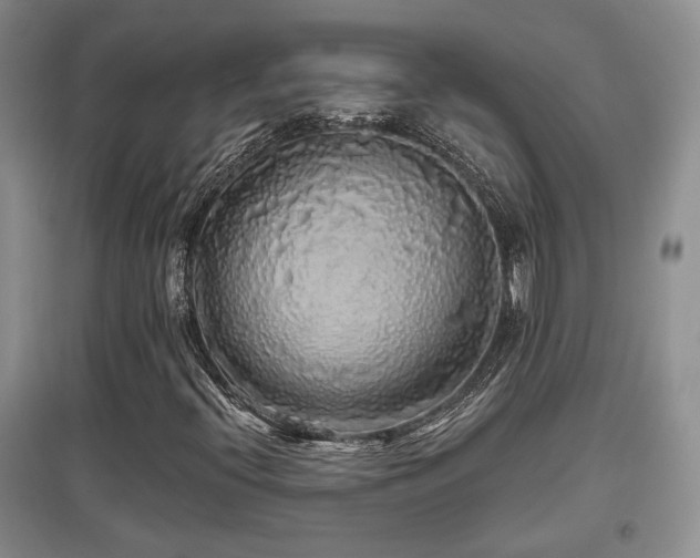 X0000097871396200803141248
