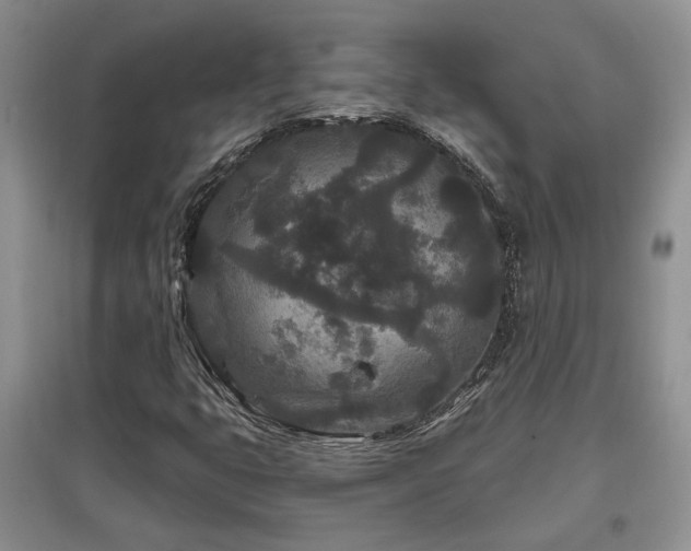 X0000097871399200803141248