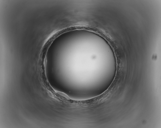 X0000097871400200803141248