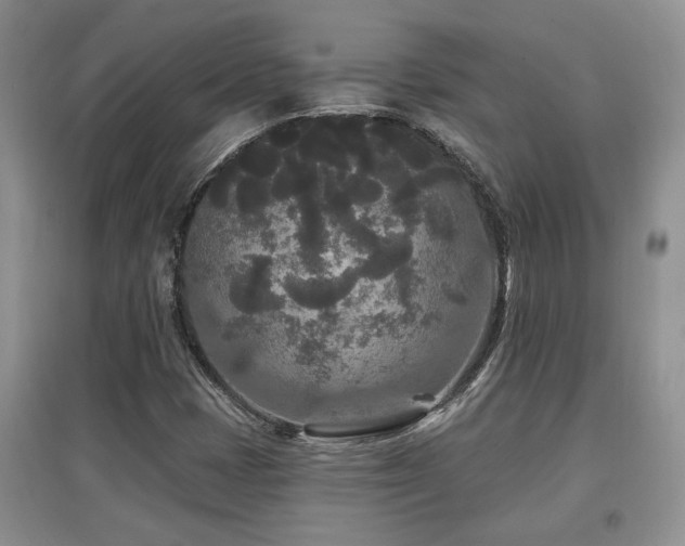 X0000097871401200803141248