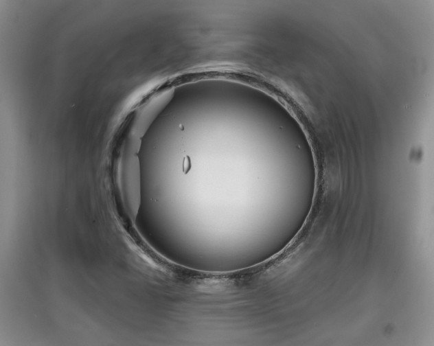 X0000097871406200803141248