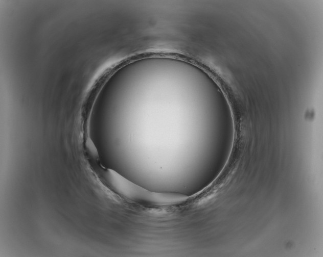 X0000097871408200803141248