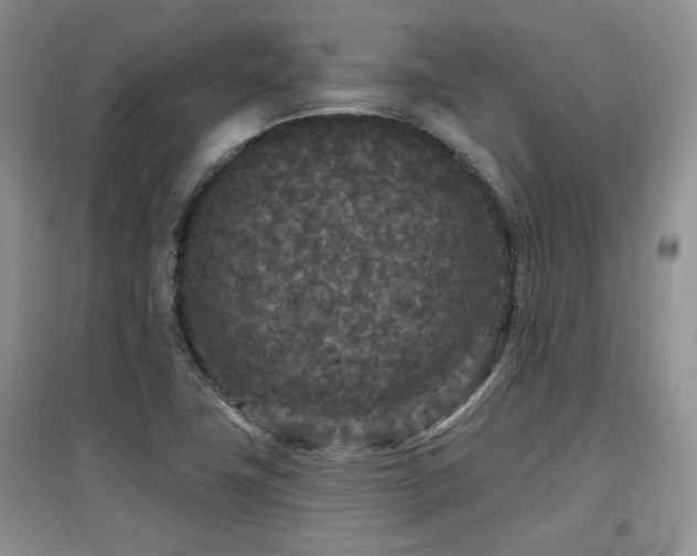 X0000097871411200803141248