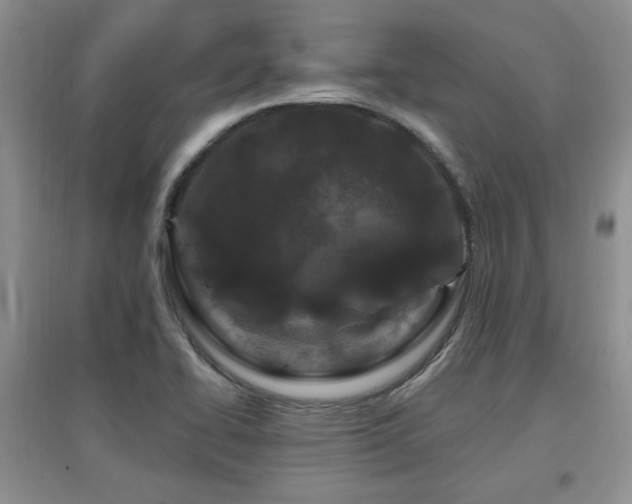 X0000097871414200803141248
