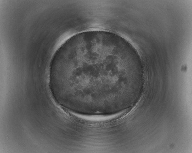X0000097871415200803141248