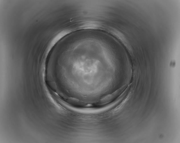 X0000097871418200803141248