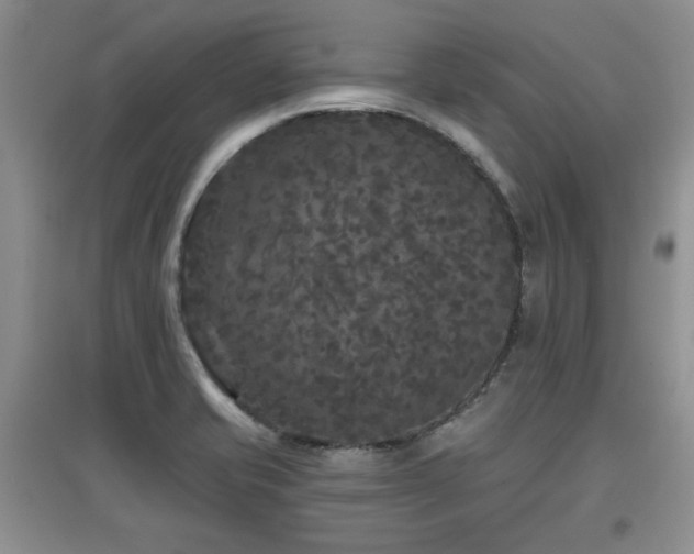 X0000097871421200803141248