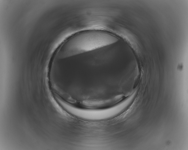 X0000097871422200803141248