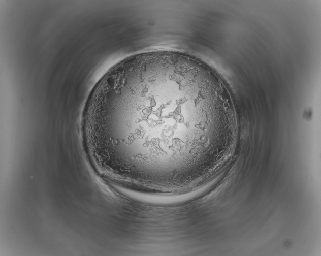 X0000097871423200803141248