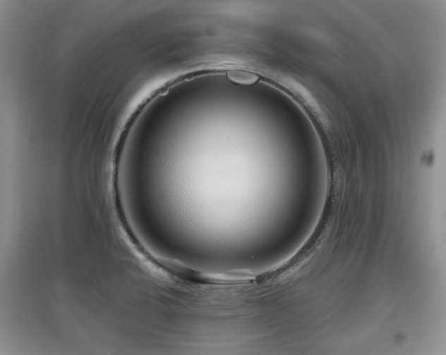X0000097871424200803141248