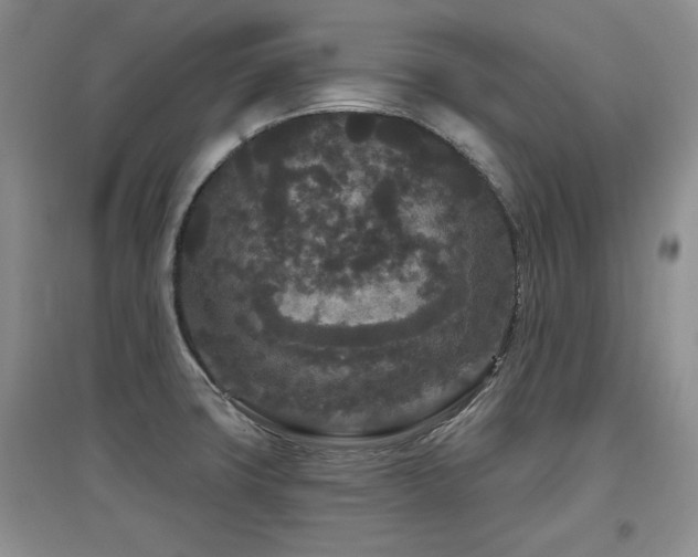 X0000097871427200803141248
