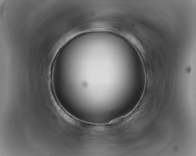 X0000097871431200803141248