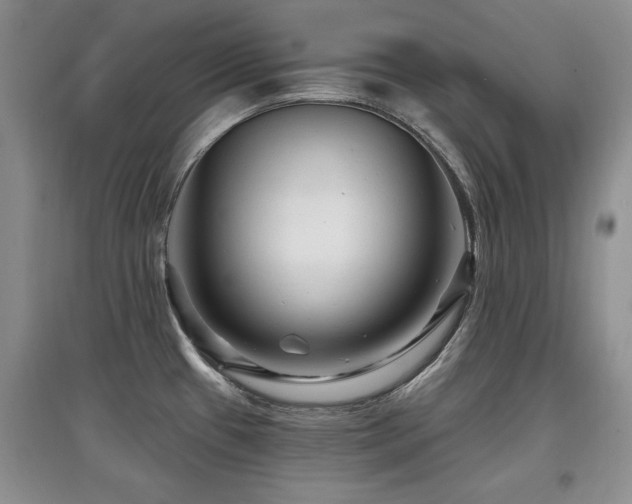X0000097871433200803141248