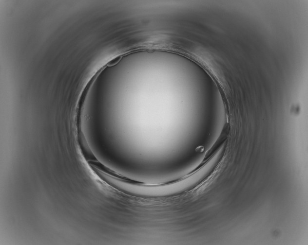 X0000097871434200803141248