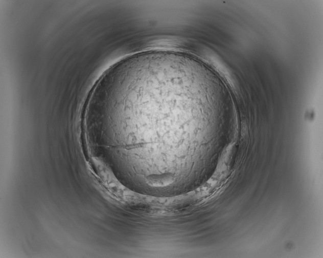 X0000097871435200803141248