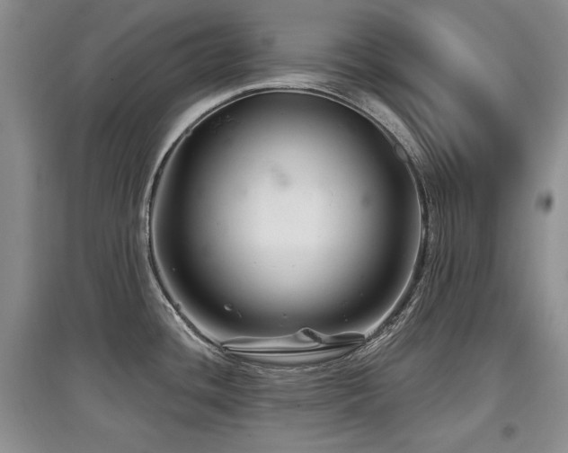 X0000097871436200803141248