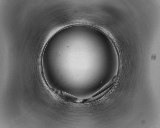X0000097871440200803141248