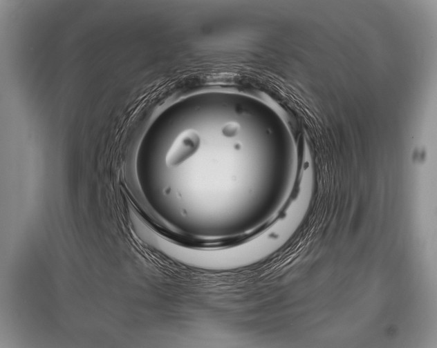 X0000097871441200803141248
