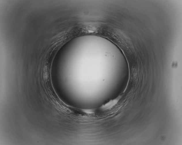 X0000097871442200803141248