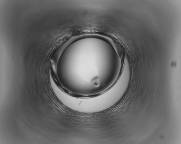 X0000097871444200803141247