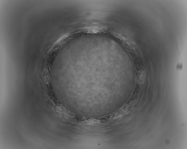 X0000097871446200803141247