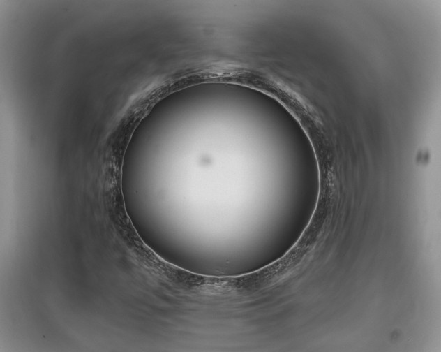 X0000097871447200803141247