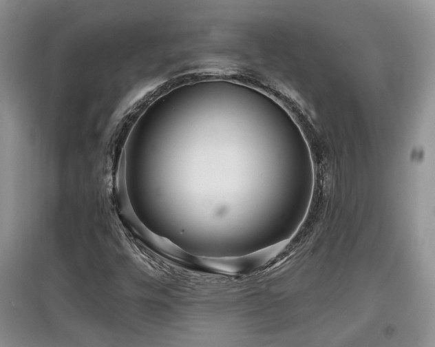 X0000097871448200803141247