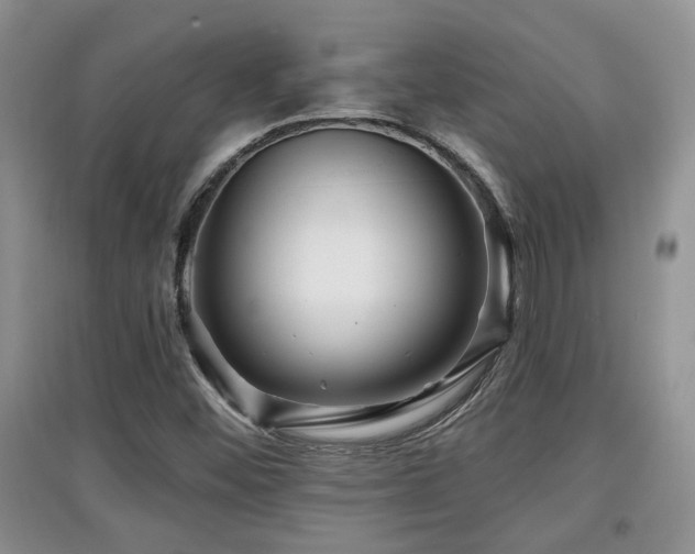 X0000097871452200803141247