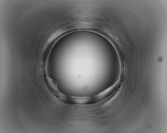 X0000097871453200803141247