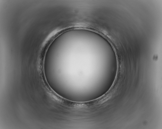 X0000097871454200803141247