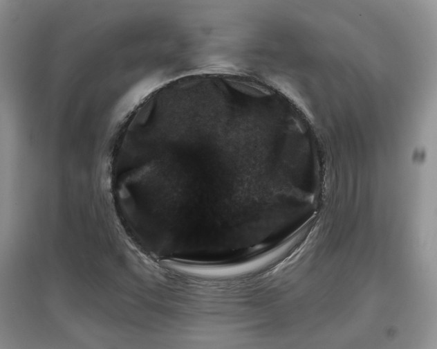 X0000097871455200803141247
