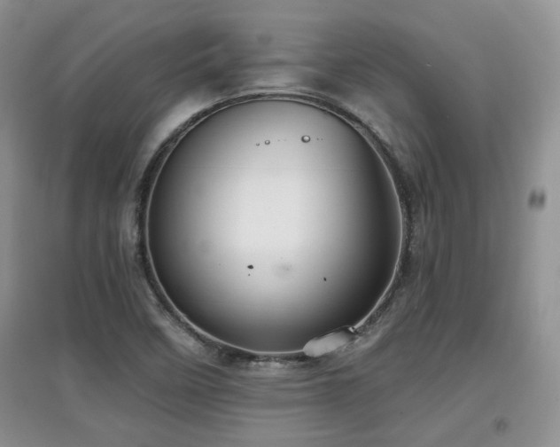 X0000097871458200803141247