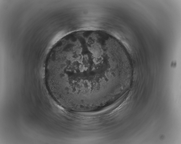 X0000097871459200803141247