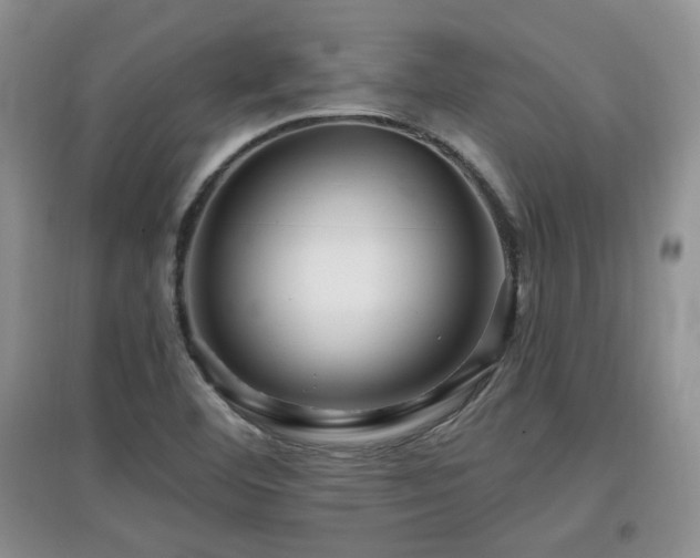 X0000097871460200803141247