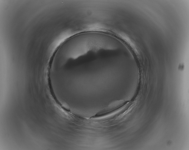 X0000097871463200803141247