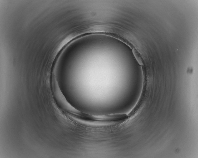 X0000097871465200803141247