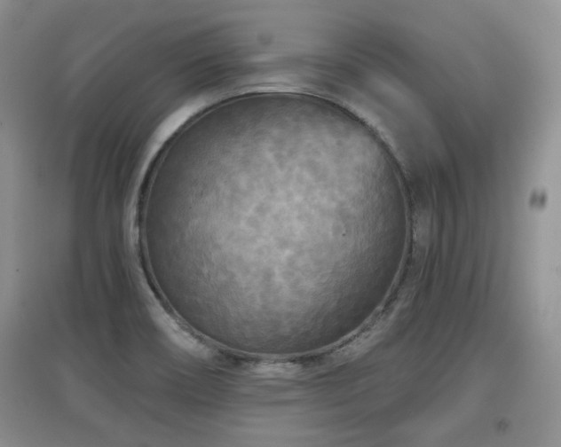 X0000097871466200803141247