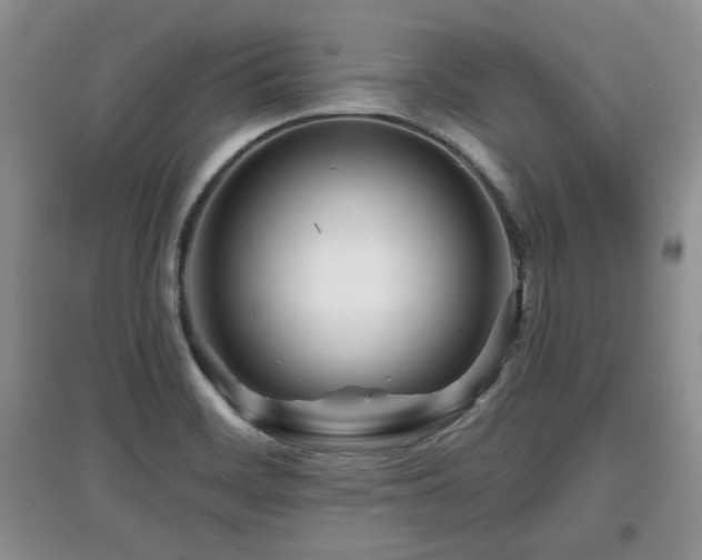 X0000097871468200803141247