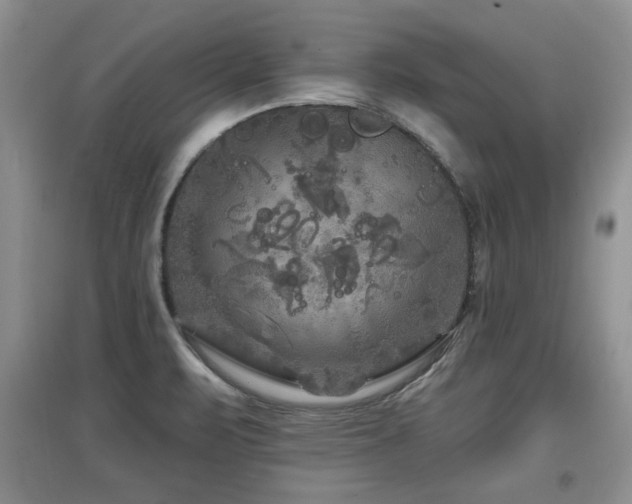 X0000097871471200803141247