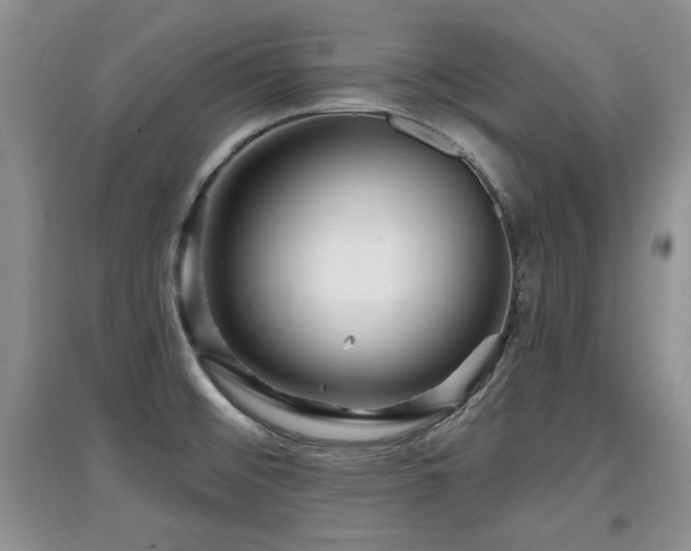 X0000097871476200803141247