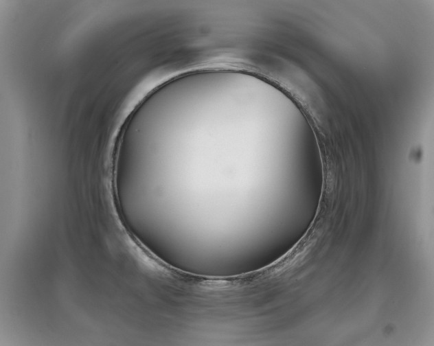 X0000097871478200803141247